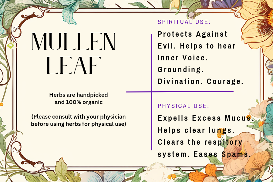 Mullen Leaf - Mama Goddess Crystals N More