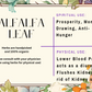 Alfalfa Leaf - Mama Goddess Crystals N More
