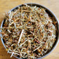 John's Wort - Mama Goddess Crystals N More