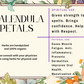 Calendula Petals - Mama Goddess Crystals N More