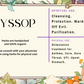 Hyssop - Mama Goddess Crystals N More