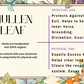 Mullen Leaf - Mama Goddess Crystals N More